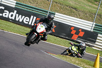 Lower Group Black Bikes